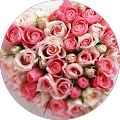 Roselina Rose